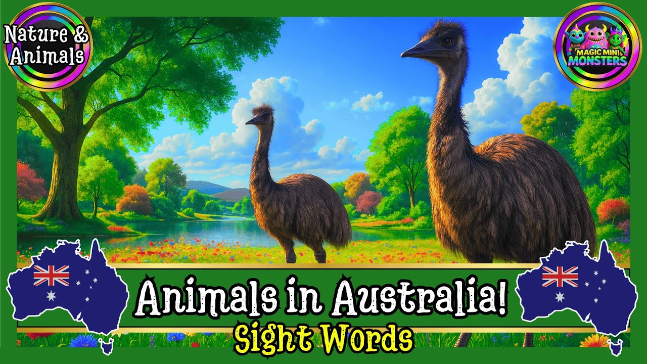 Animals in Australia! | Educational Aussie Wildlife | Magic Mini Monsters #magicminimonsters