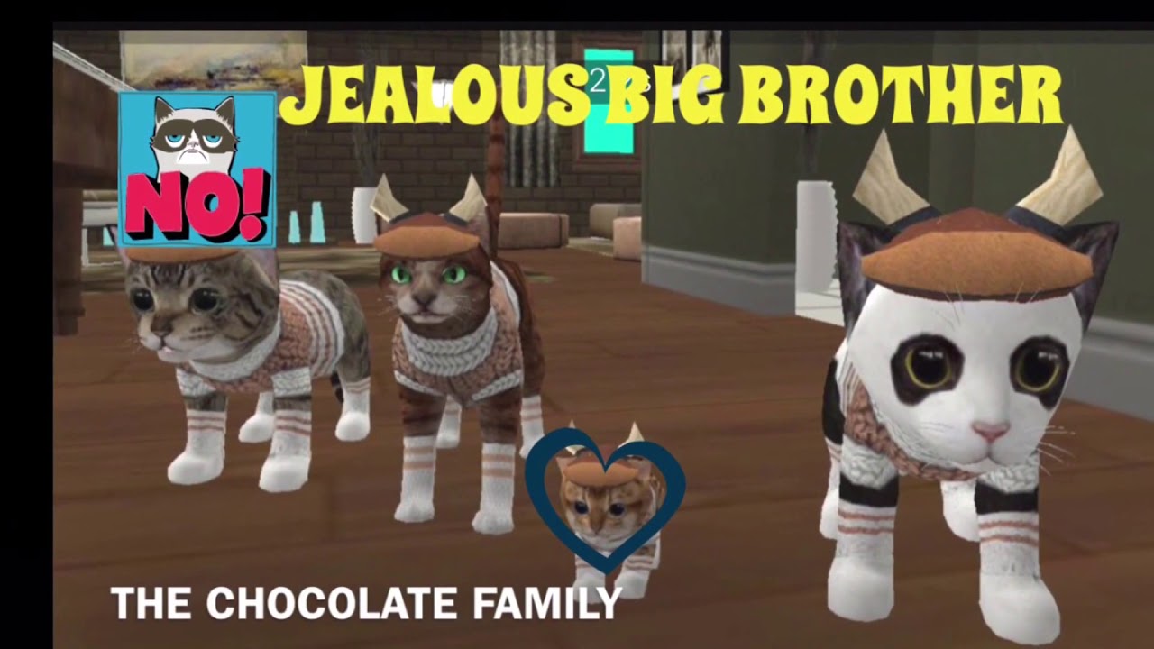 The Jealous Big Brother | RolePlay | Cat Sim |