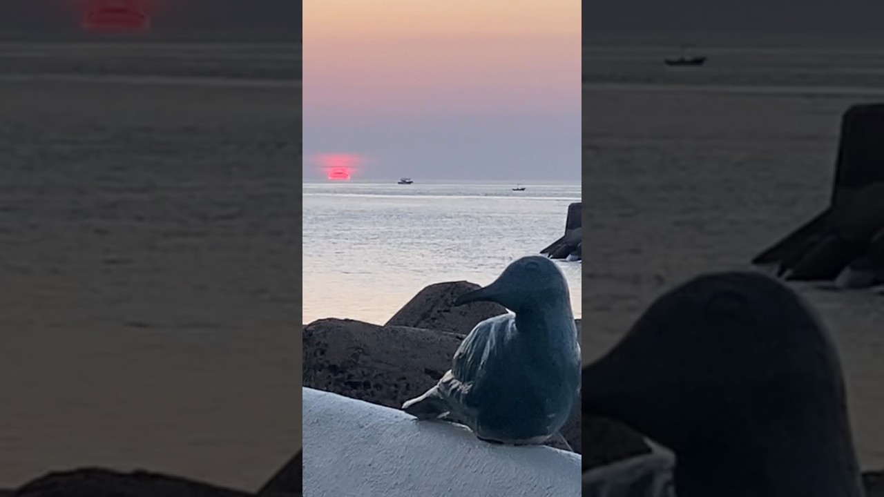Jeju - Sun dips into the sea 