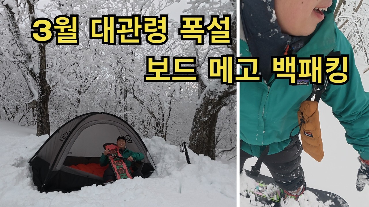 3월 대관령 80cm 폭설 실화? 무릎까지 빠지는 러셀 지옥과 광기의 보드패킹 🏂❄️