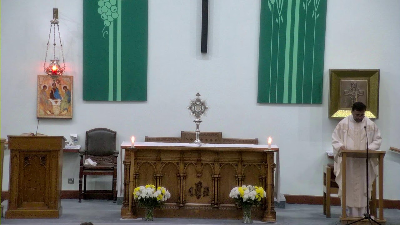 6pm Mass Tuesday 10th February 2026 5th Week in Ordinary Time