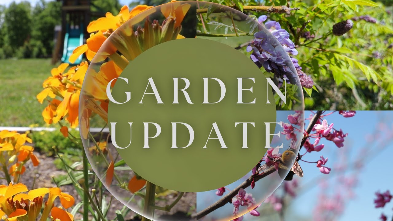Garden Update | Garden Tour | Breaking Ground On The New House | May 2023 | Spring In Tennessee