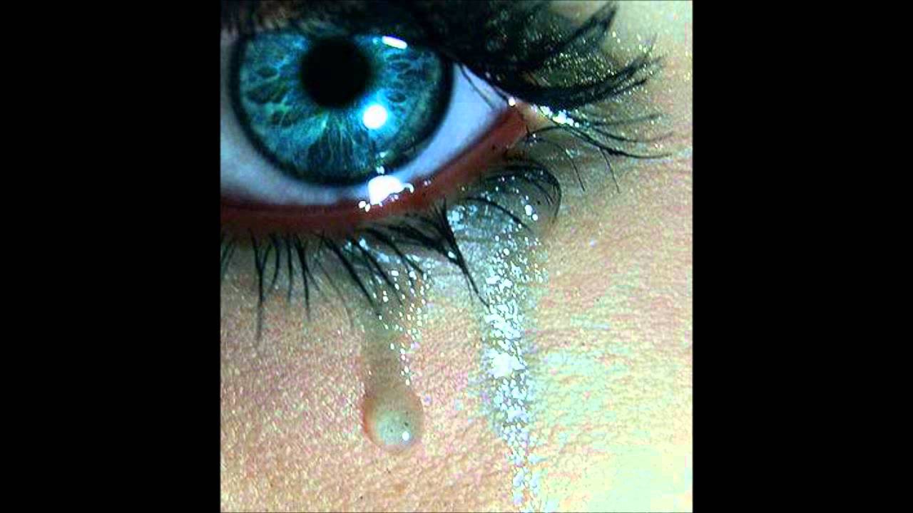 Muito Prazer - #PoesiaCantada