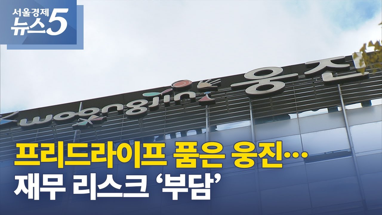 프리드라이프 품은 웅진&hellip;재무 리스크 &lsquo;부담&rsquo;
