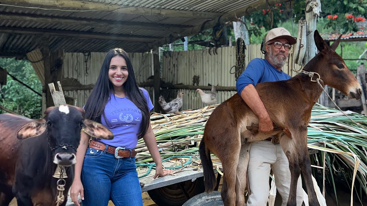 Visitei o Zé Vaqueiro | Novos animais, familia e vida na roça 
