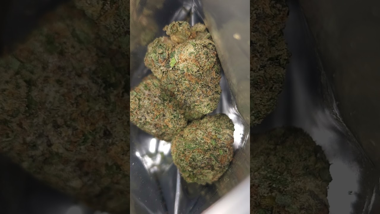 Strain: ADIOS MF!