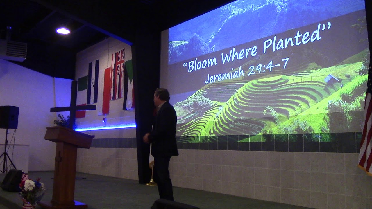 “Bloom Where Planted