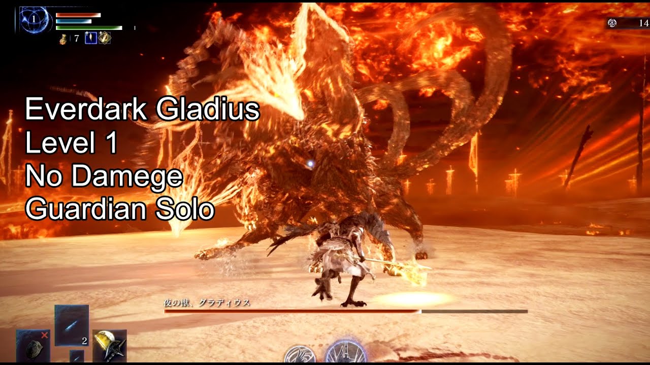 【レベル1/ノーダメージ/守護者ソロ】常夜の王 グラディウス/Everdark Sovereign Gladius Guardian Solo【Nightreign】