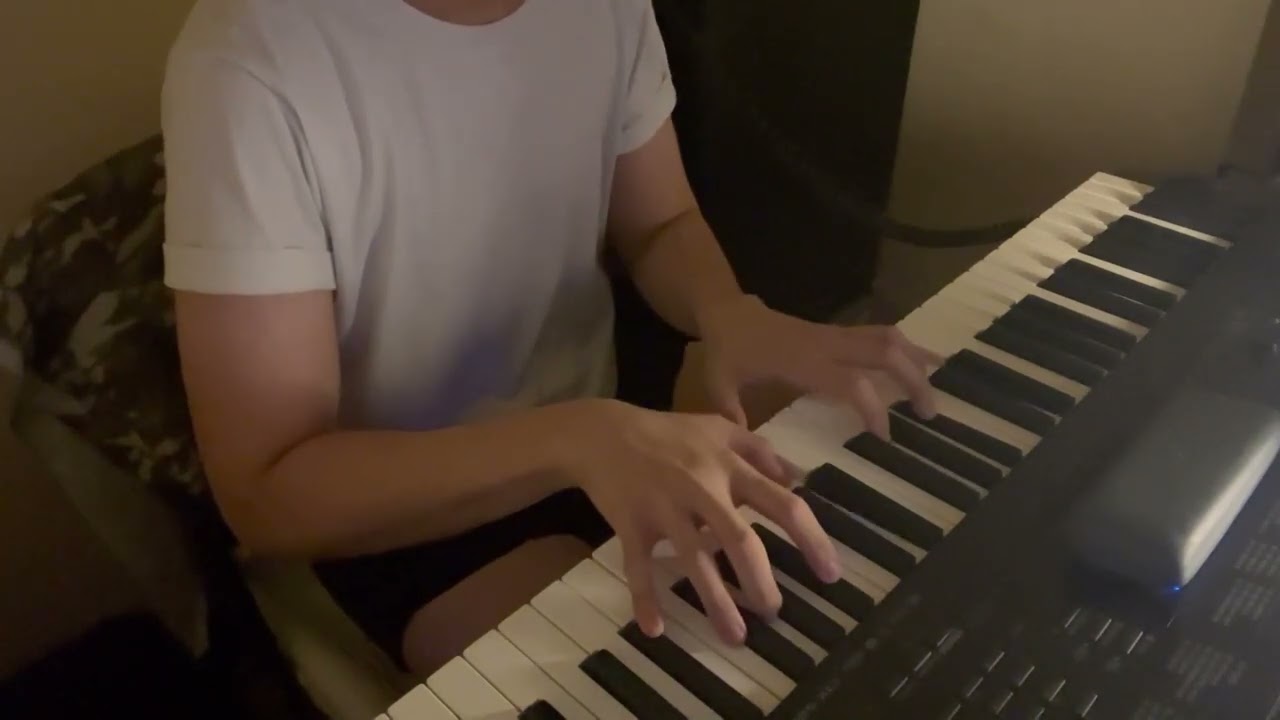a quick one before the eternal worm devours connecticut (piano cover) [have a nice life]