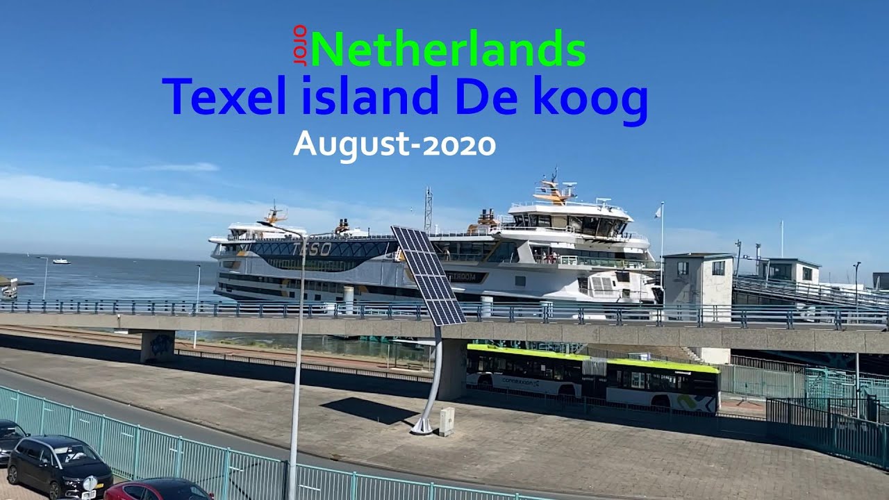 JOJO & Texel island De koog August 2020 Netherlands  🏖🏖