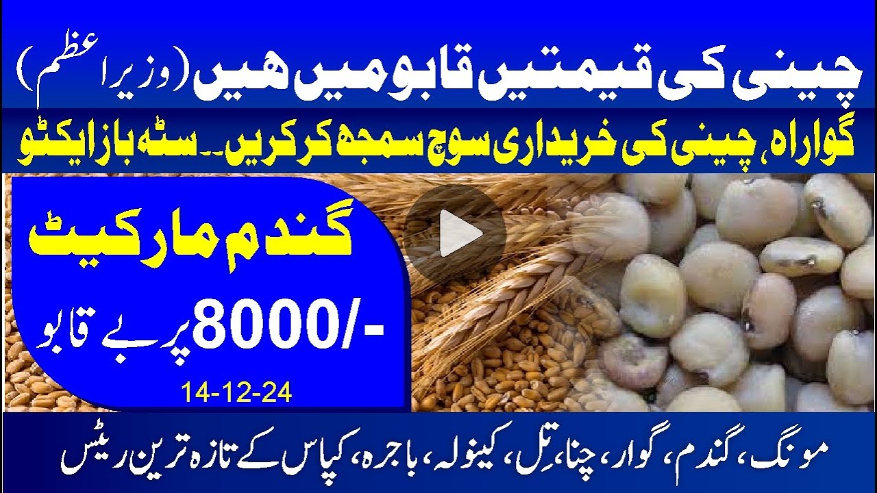today guar high rate | wheat price in punjab | moong rate today | sugar report today | till price