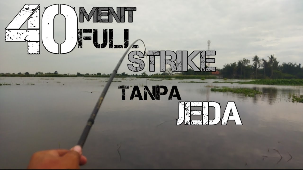 40MENIT STRIKE TANPA JEDA, spot super haup tapi sepi pemancing