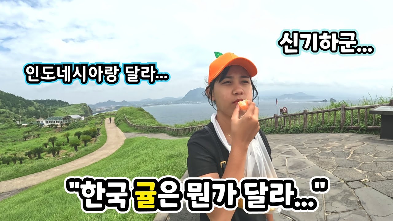 인도네시아 소녀가 제주도 귤을 처음 먹어보고 신기해하네요ㅋㅋ (ft. 길거리에서 처음으로 한국인 구독자님 만남!!)