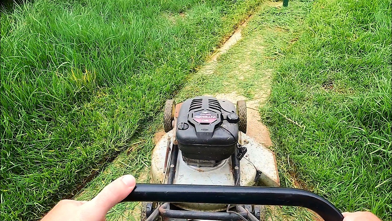 POV Lawn Mowing &ndash; Cutting Out of Control Long Grass 🌿 Contractor Pro-Grade Mower at Home!