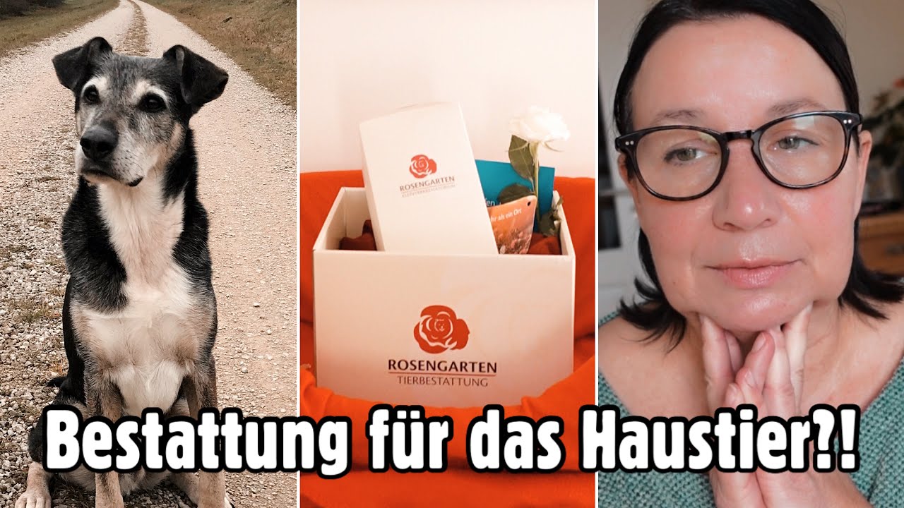 Balu’s letzte Reise | ROSENGARTEN-Tierbestattung 🥀 Sandra by KLEINE FAMILIENWELT