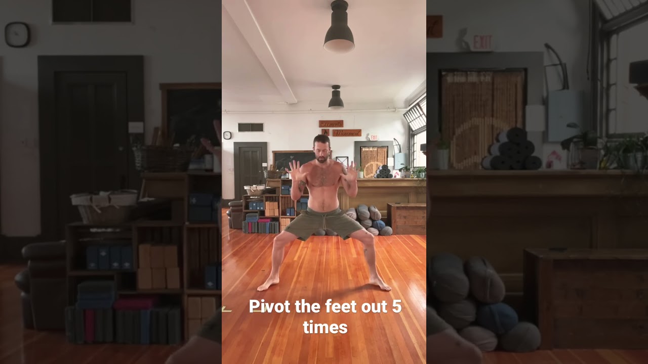 The 5 step martial arts horse stance.