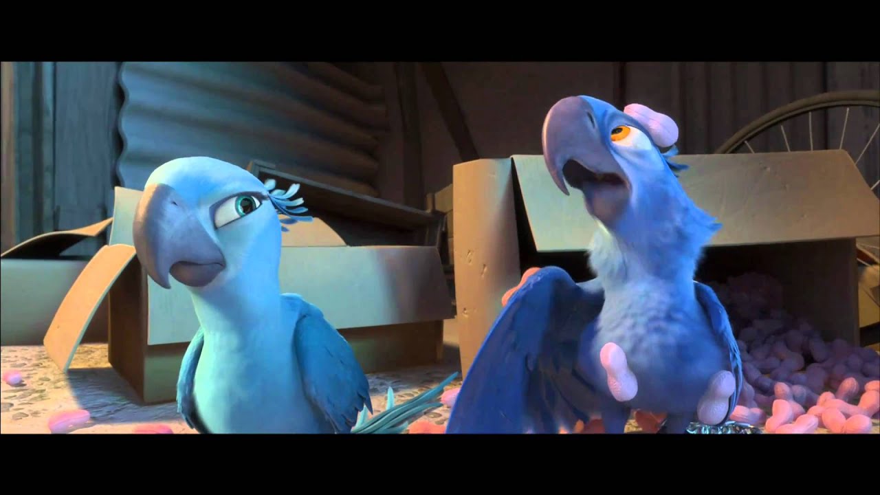 RIO | International Trailer E