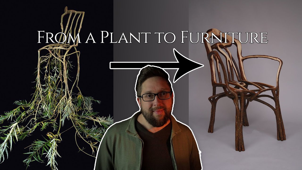 FROM PLANT TO FURNITURE by Gavin Munro - बीज से फर्नीचर तक का सफर