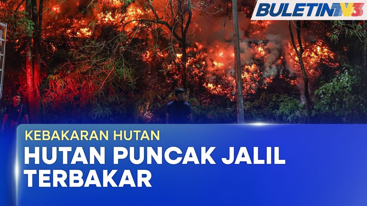 KEBAKARAN HUTAN | Hutan Seluas 2.02 Hektar Terbakar