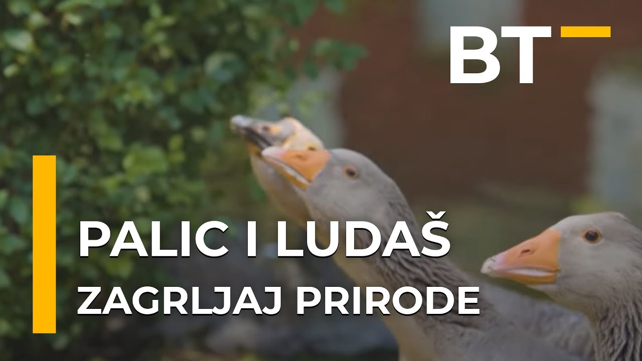 ZAGRLJAJ PRIRODE   PALIC I LUDAS  Balkantrip TV