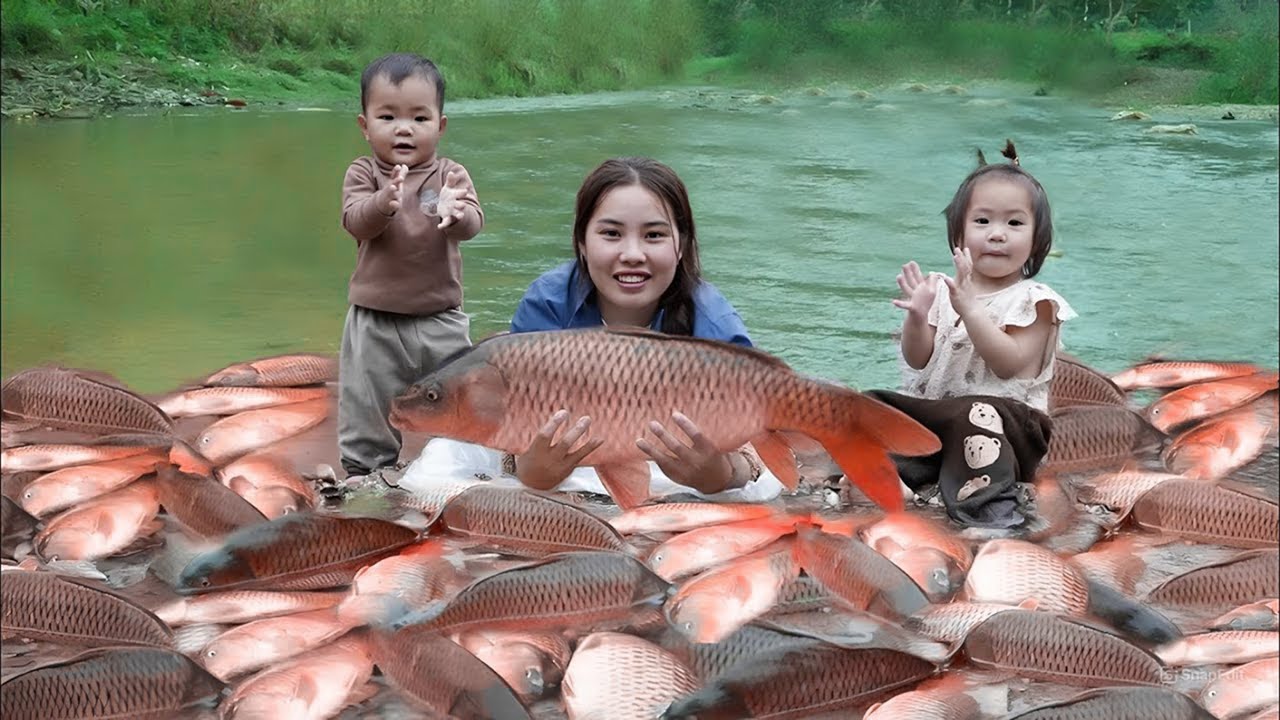 New discovery in the stream: Ms.Duong and her children harvested a giant catch of Fish| Village Life