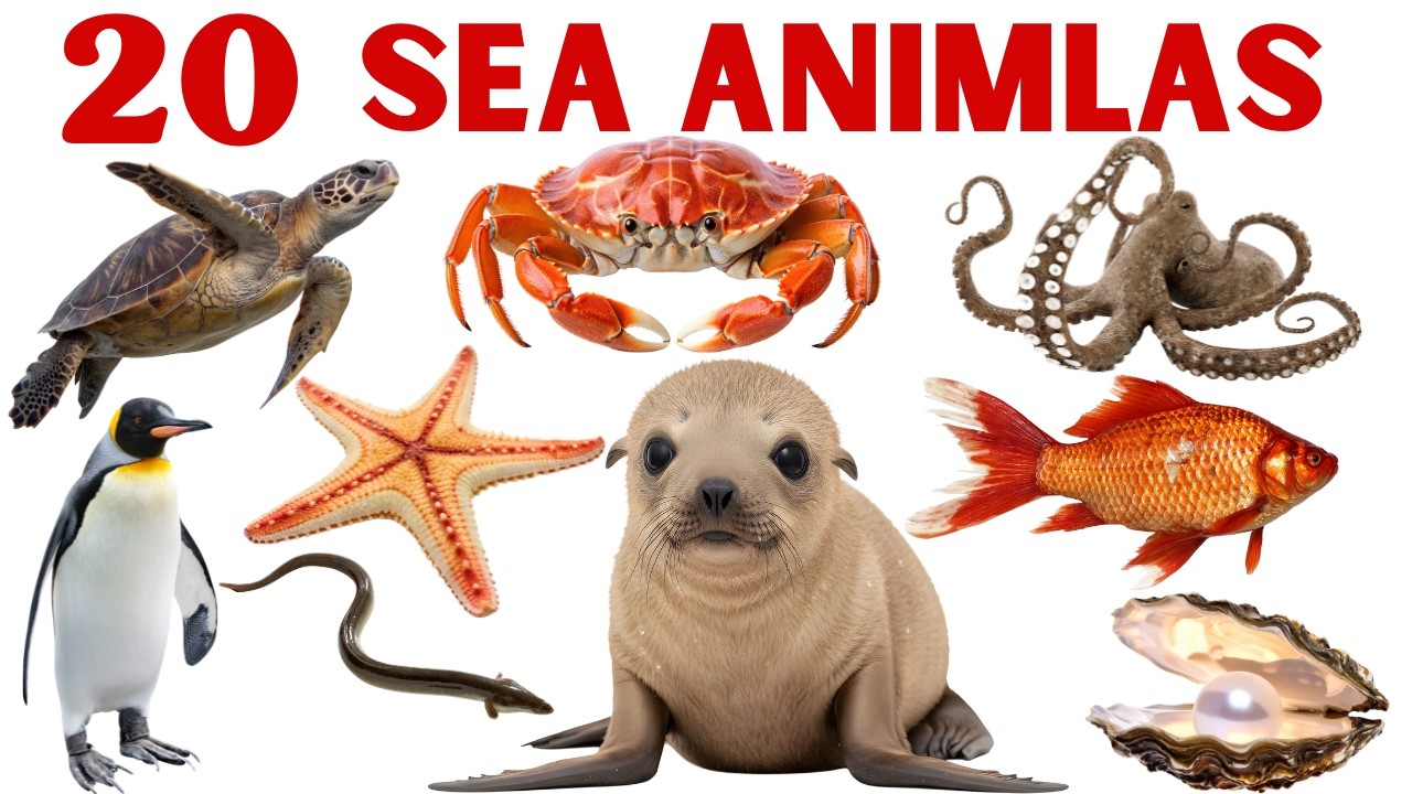 Sea Animals for Kids | समुद्री जानवरों के नाम बच्चों के लिए | Sea Animals Name