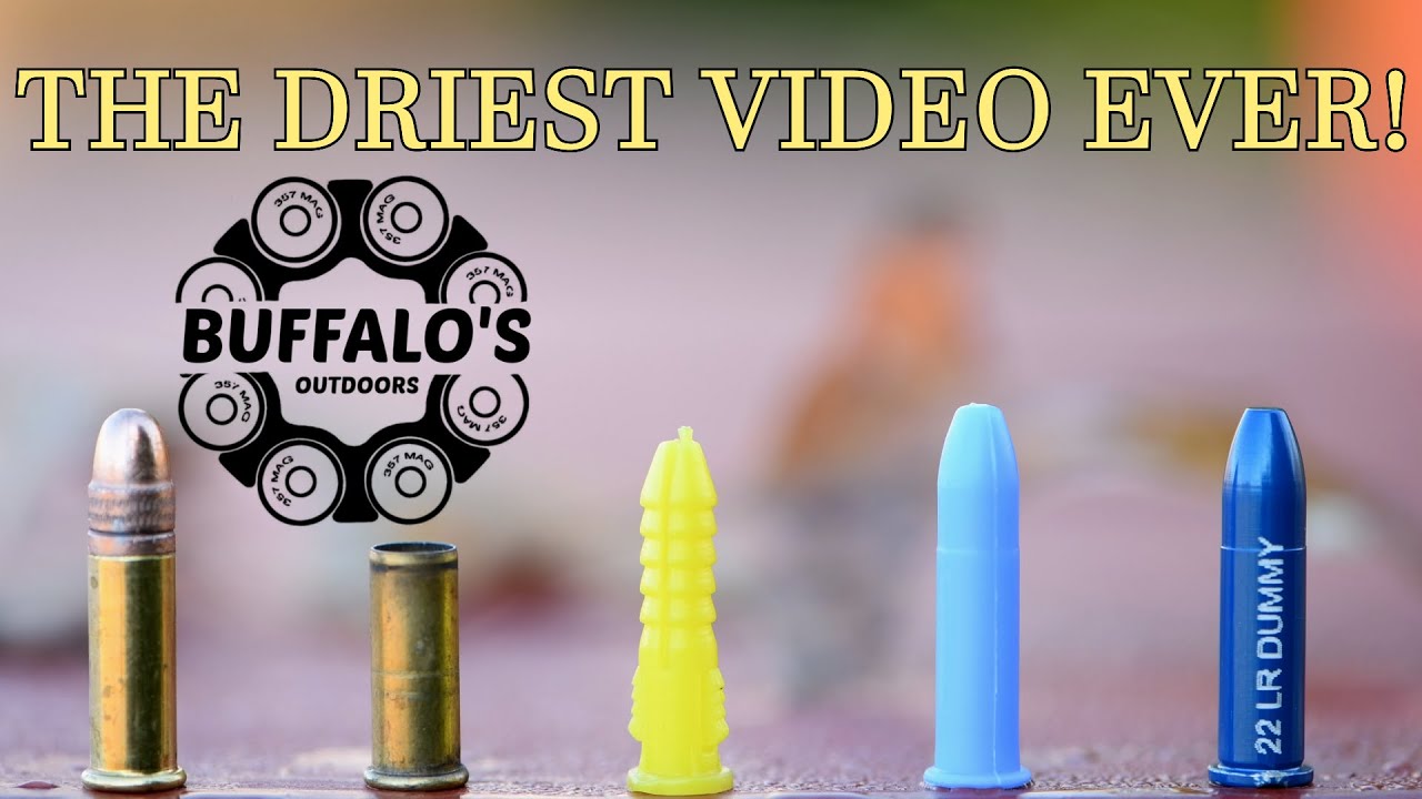 .22LR DRY FIRE ~ РУКОВОДСТВО ДЛЯ НАЧИНАЮЩИХ ПО ПУСКАМ С КАПСУЛАМИ