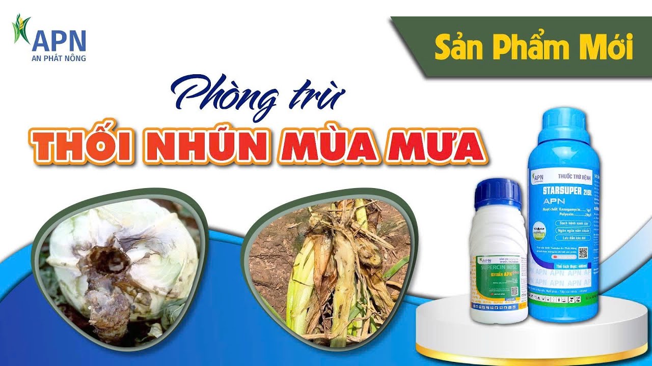 APN - Ph&ograve;ng trừ bệnh 