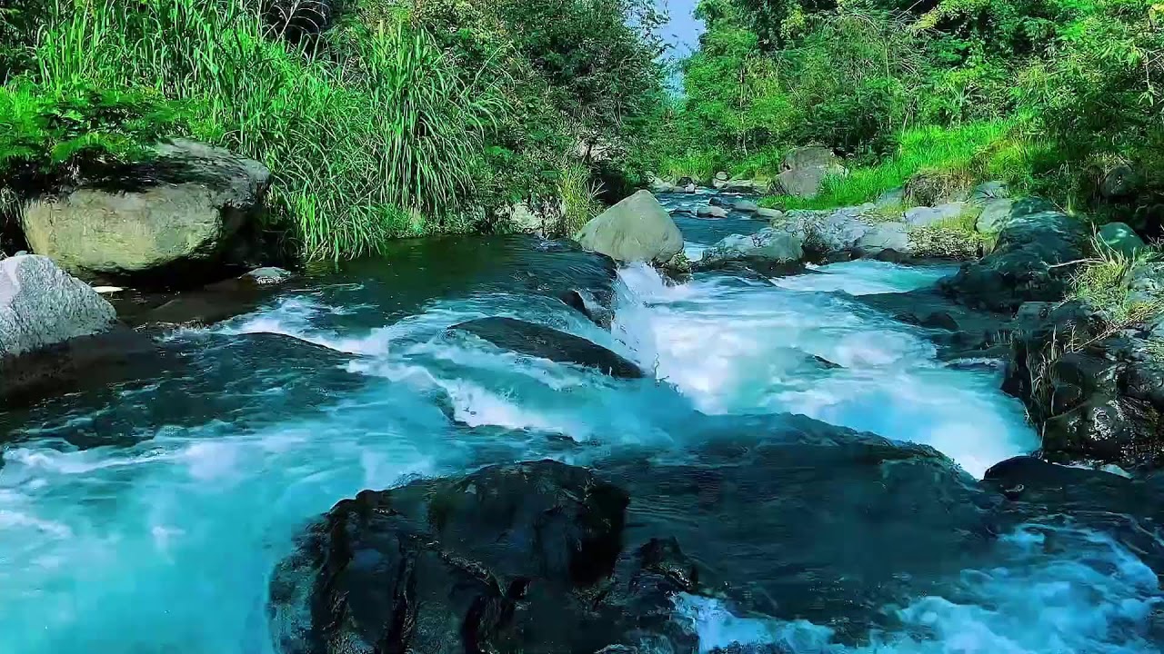 Forest River Water Audio, Mountain Stream Flowing, Sleep
