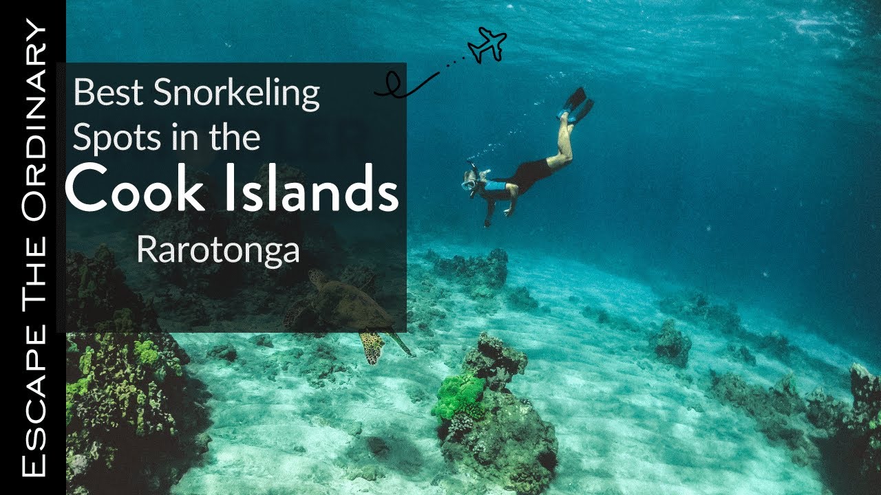 Snorkeling Rarotonga, Cook Islands | Aroa, Muri, Black Rock, Tikioki, Turoa