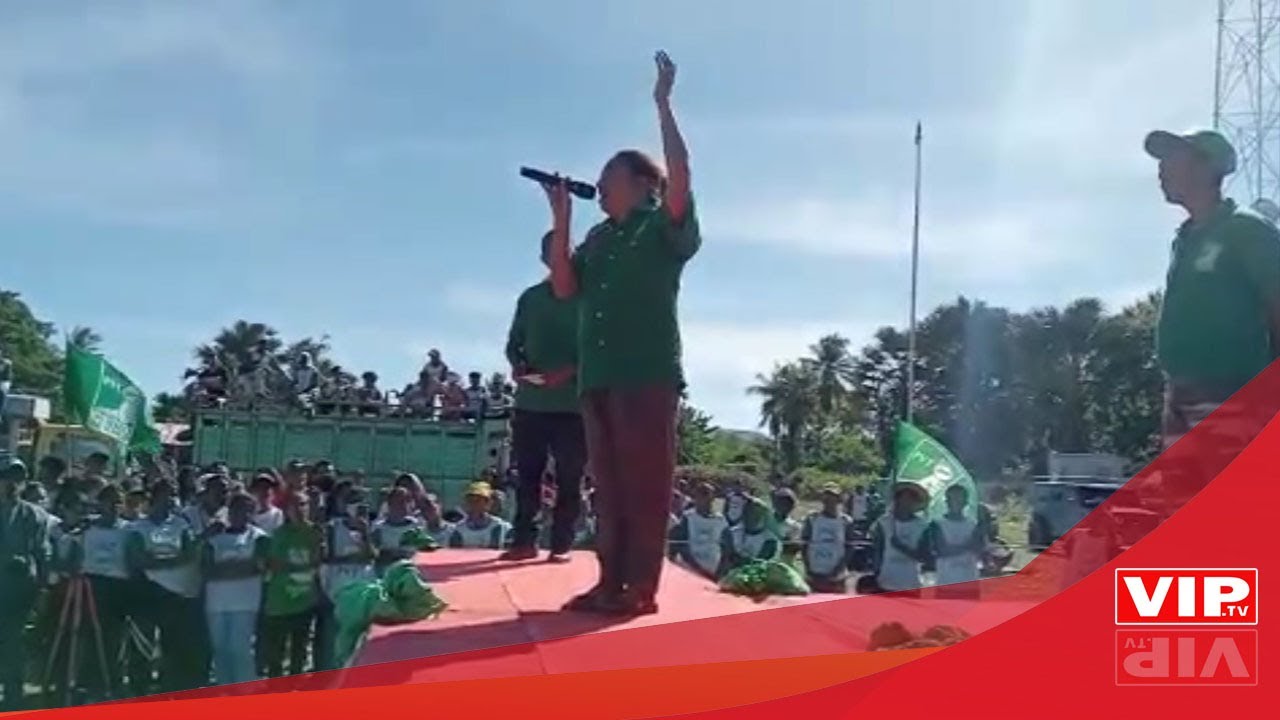 HILI PARTIDO OS VERDES DE TIMOR, HILI MOS REPREZENTANTE DEFISIENTE IHA PARLAMENTU NASIONAL