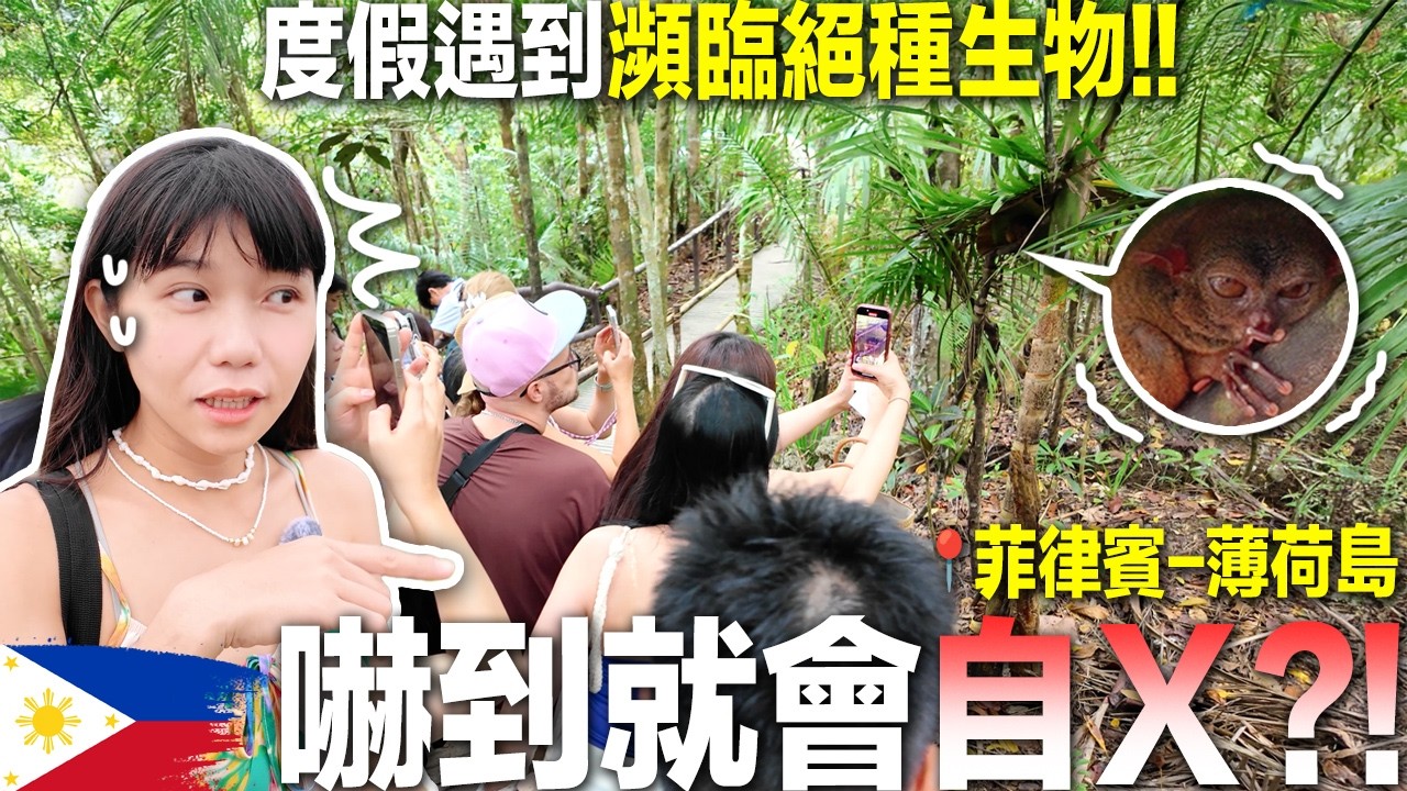 佈滿巧克力的島嶼？！你不能不知道的度假勝地😍！潛水、翡翠湖、巧克力山！菲律賓薄荷島🏝️