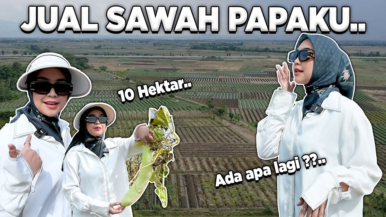 RICIS JUAL SAWAH PAPA DI BREBES..