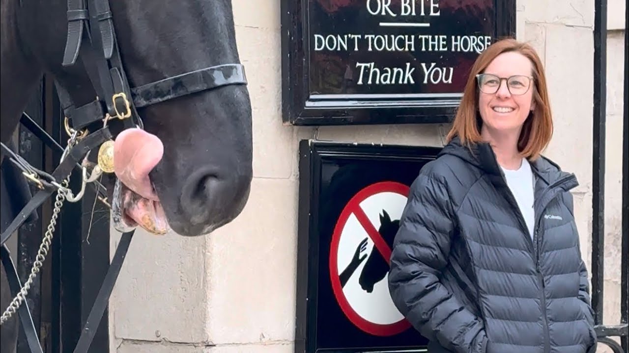 😜🐎Cheeky moment at Horse Guards as the horse sticks its tongue out at tourists.