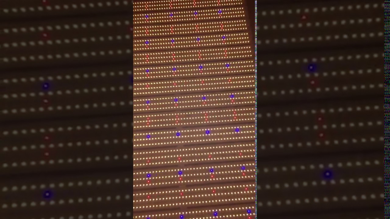 2018 Newest R2T Rock 1200W LED Grow Light: r2thk@r2thk.com