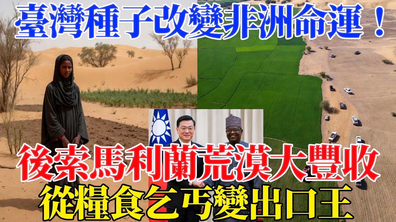 「一顆來自台灣的種子，改變了一切！」一位來自索馬利蘭的貧困女孩，賣掉全部家當只為到台灣學習種植糧食。短短6個月後，荒漠土地的驚人變化震撼全世界！多虧台灣，索馬利蘭從糧食依賴國翻身成為出口國！