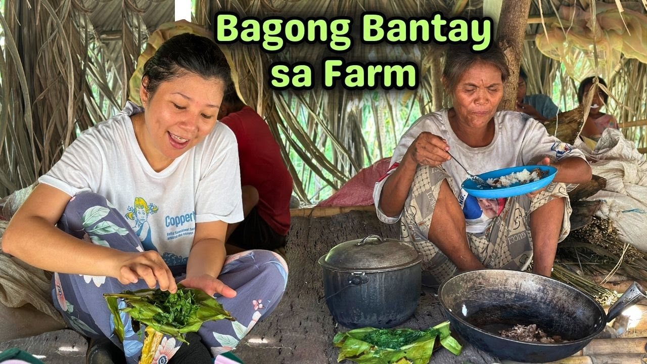 Sinundo namin ang Bagong Bantay sa Farm at ang daming Reprep Mushroom | PHILIPPINES LIFE