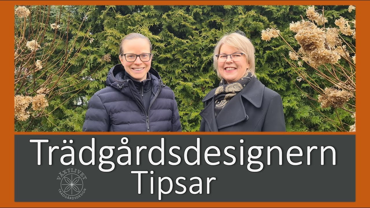Växtlivet trädgårdsdesign. Skapa din drömträdgård Trädgårdsdesignern berättar. Trädgårdsinspiration
