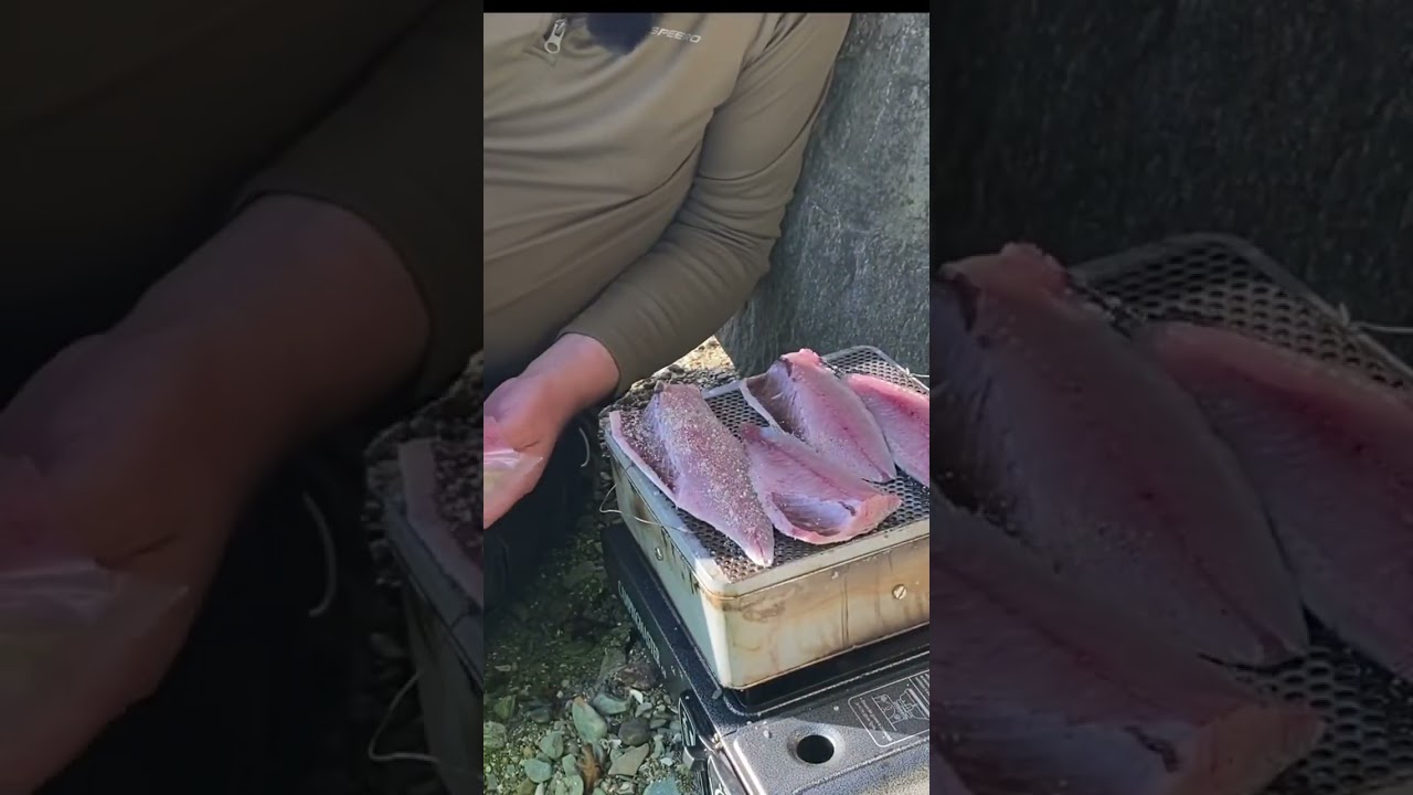 I Wish I Knew This Before Smoked Mackerel In Under 10 Mins #mackerel #fishing #shorefishing