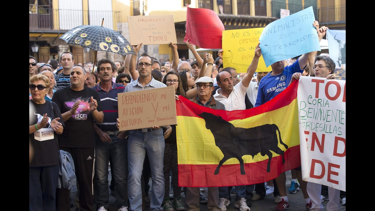 2.000 personas se manifiestan en Tordesillas en defensa del Toro de la Vega