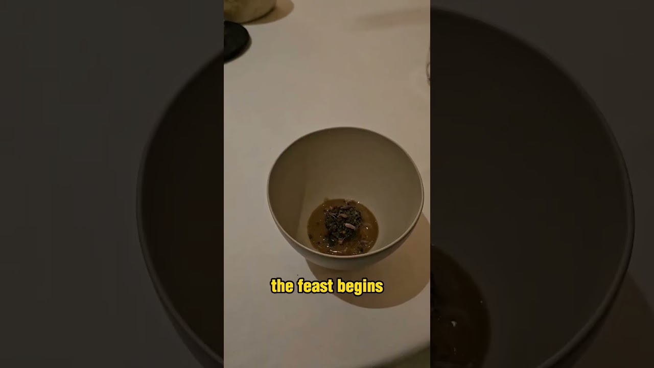 380$ for Dinner! 🤑 - 3 Star Michelin Restaurant review