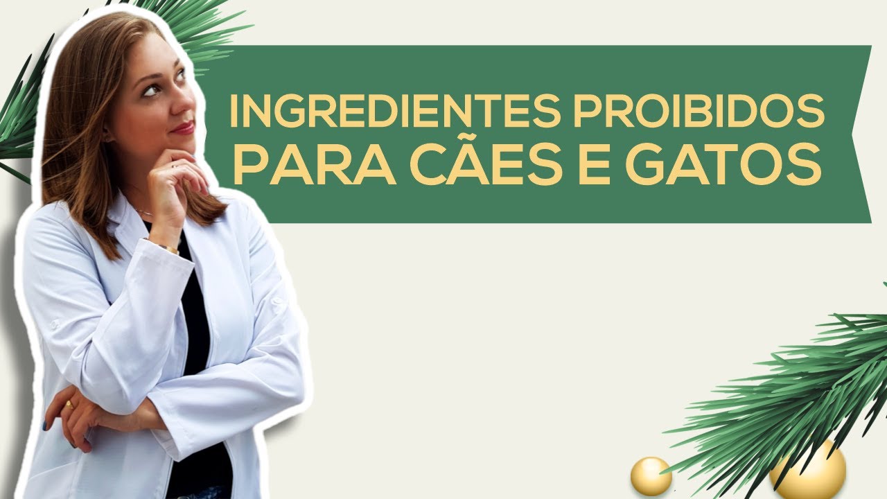 AULA: Ingredientes proibidos para cães e gatos | Alimentos que cachorro não pode comer