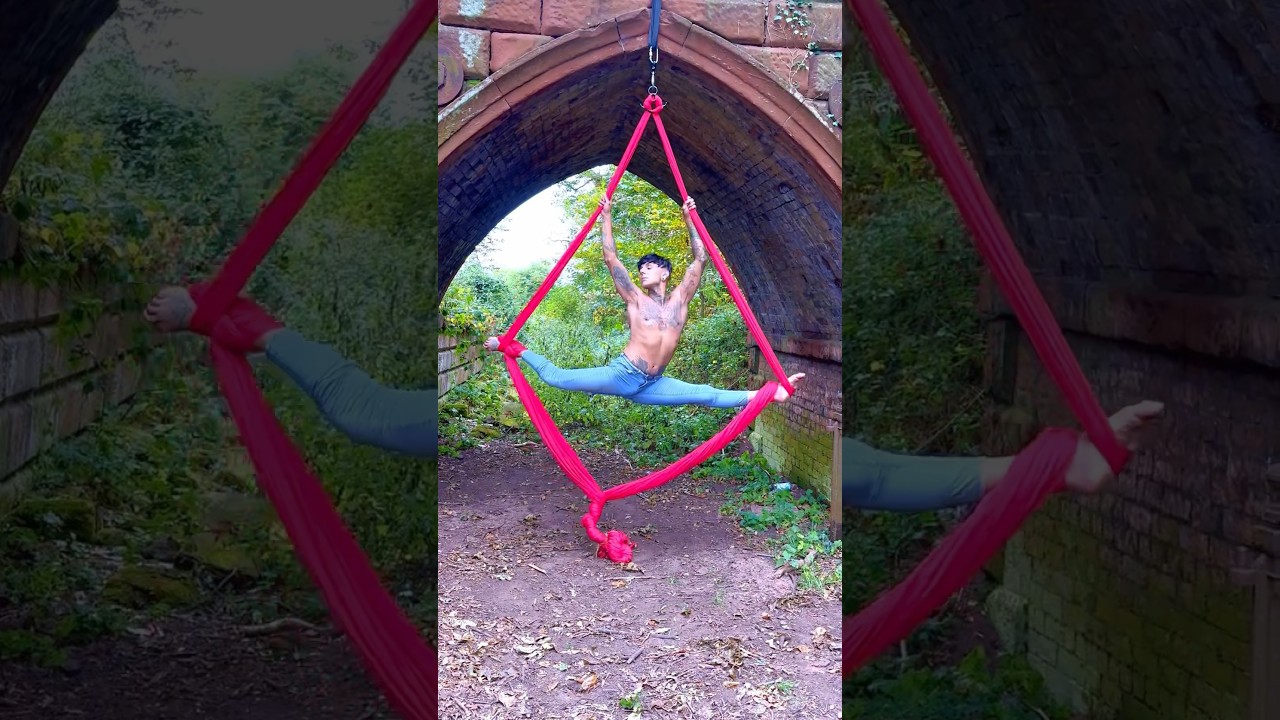 Aeria Silks #aerialist #billieeilish #aerialsilks #aerialcircus #dance #circus #cirque #poledancer