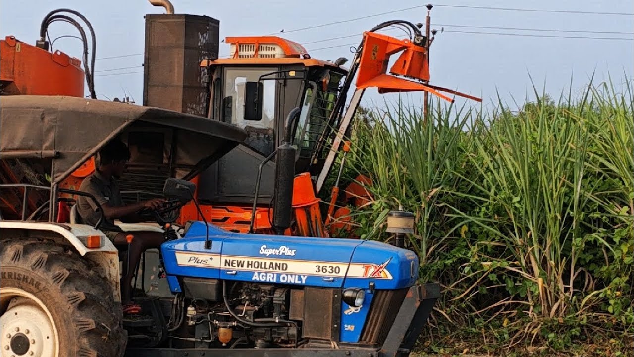 நவீன கரும்பு அறுவடை மற்றும் லோடு செய்தல் Modern sugarcane harvest and loading