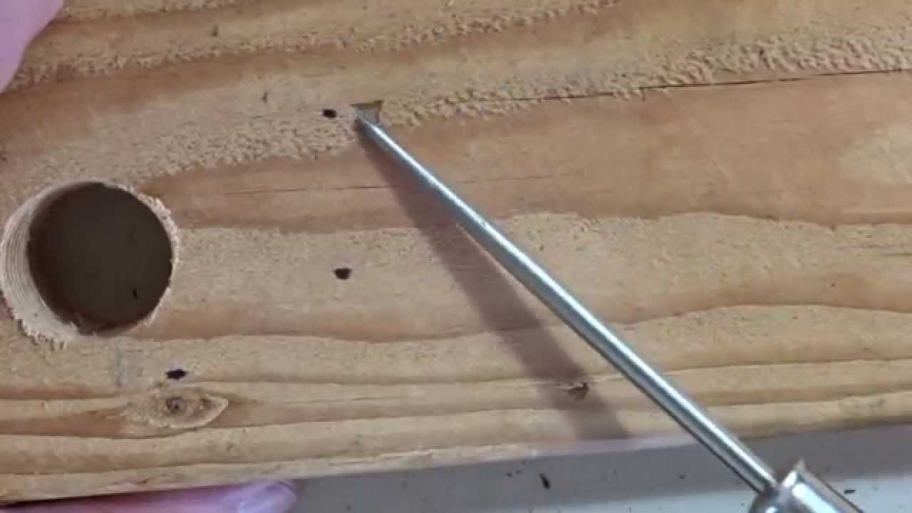 PICK TEST for Finding Fungal Decay* in Wood Members (*also known as 