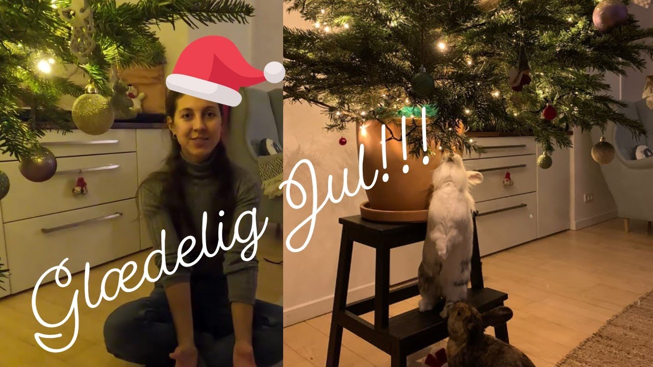 Vi elsker jul med kaninsikret pynt 🎄❤️🎁🐰