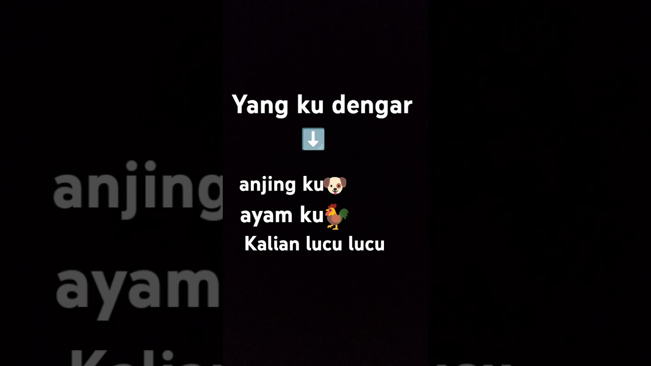 Hais disnsn 