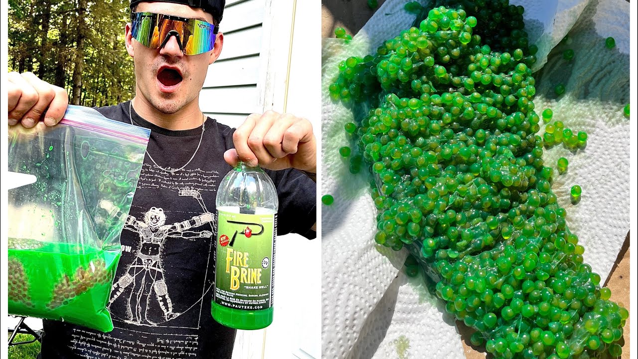 HOW TO CURE SALMON/ TROUT EGGS using fire brine