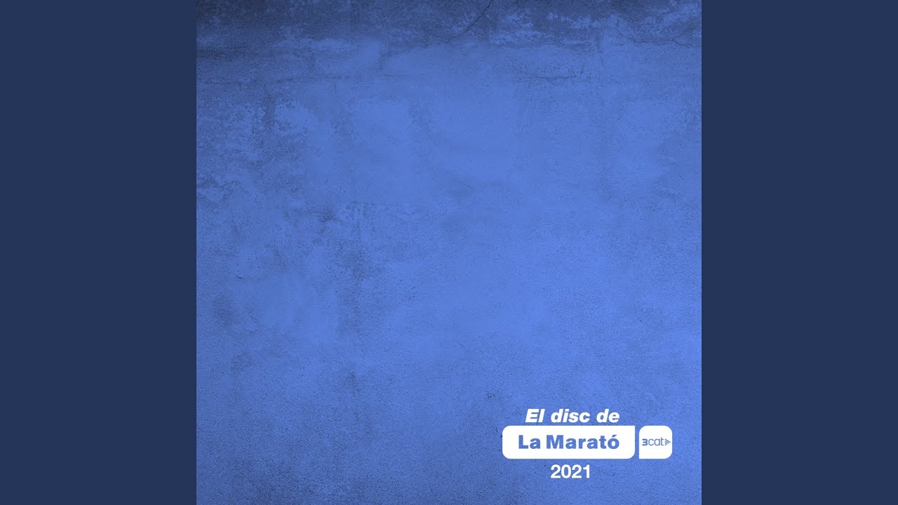 Navegant (El Disc de la Marató)