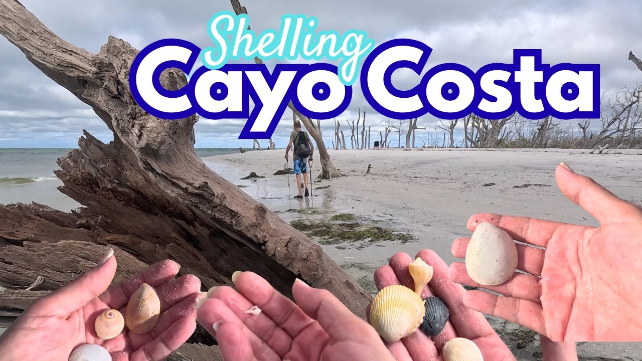 Shelling on Cayo Costa PART 1 of 2-- Wild Beauty + Sea Shells!